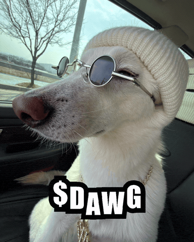 Dawg GIF