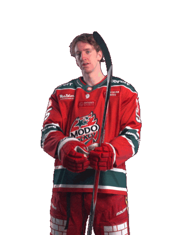 Sticker by MoDo Hockey