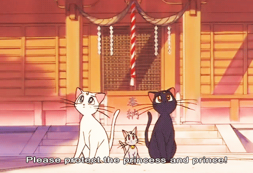Sailor Moon Luna GIF , Find \u0026 Share on GIPHY