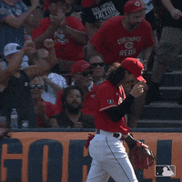 Brandon Drury Baseball GIF by Cincinnati Reds - Find & Share on GIPHY