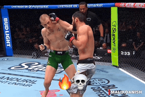 Islam Makhachev Ufc GIF