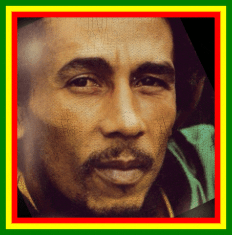 Marley Brinx GIFs - Get the best GIF on GIPHY