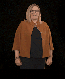 FDP Landtagsfraktion Sachsen-Anhalt GIF