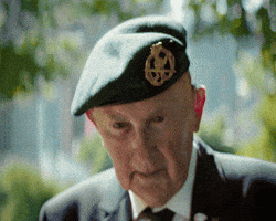 Veteranendag GIF