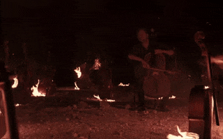200.gif?cid=fc005b08ae607114669c13d19d06b02252e4d5e2432baeaf&rid=200.gif&ct=g