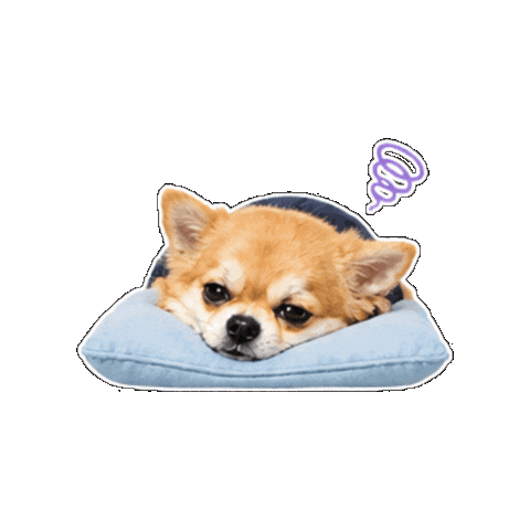 Taco Sticker by Smartsourcing