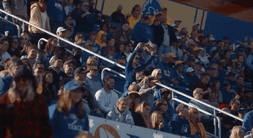 Football Celebrate GIF by Delaware Blue Hens
