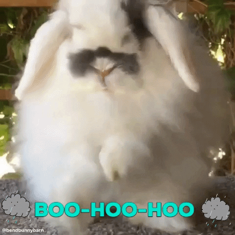 bendbunnybarn GIF