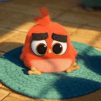Lonely Hatchlings GIF by Angry Birds