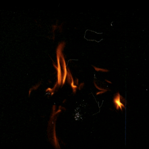 Camp Fire GIF by Hunter Preston