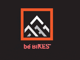 BeBikes GIF