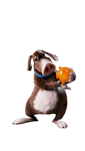 Dog Love Sticker by DWS_Deutschland