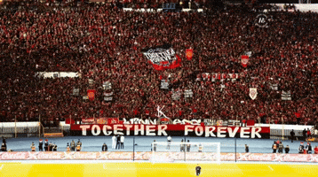 Together Forever Winners GIF