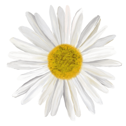 Design Love Sticker by The Gypsy Studio