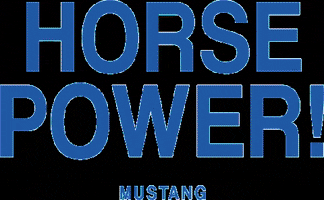 MUSTANGJeans horse jeans denim mustang GIF