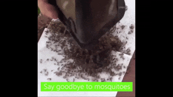 Mosquitokiller GIF