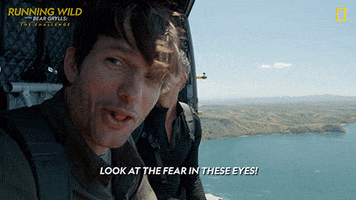 Scared Ashton Kutcher GIF by National Geographic Channel