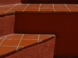200.gif?cid=fc005b08d55dddb039aa381e9467e2980861ca63321eb5da&rid=200.gif&ct=g