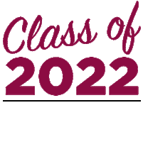 College Brand Sticker by New Mexico State University