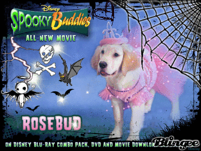 air bud