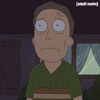 Season 3 Episode 305 GIF by Rick and Morty