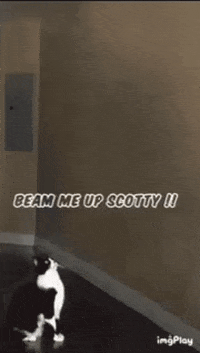 Beam Me Up GIF
