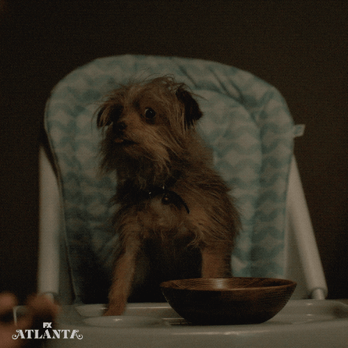 Hungry Dog Eating GIF by Atlanta