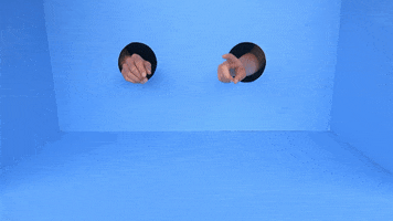 Lindyhengst GIF