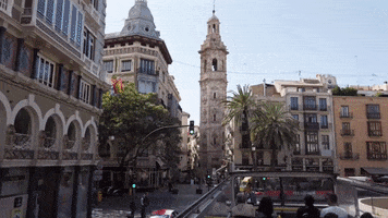 Santa Catalina Bus Tour GIF by For 91 Days