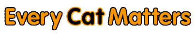 Cats Sticker by Cat Haven WA