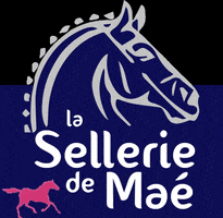 Sellerie de Maé GIF