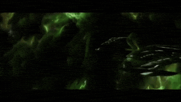 Star Trek GIF