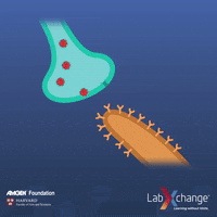 science-biology-cell-signalling-mCGTF8GVfSgCerXvD5
