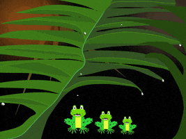 Frog GIF