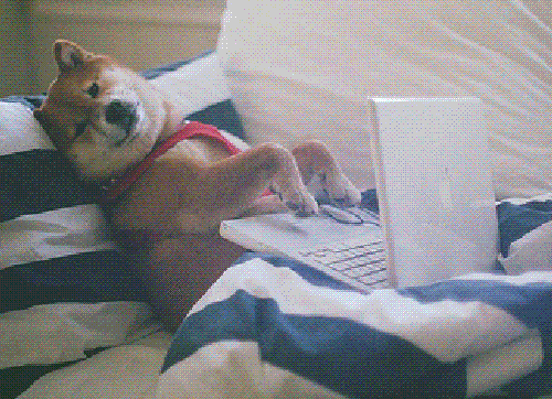 Gif of a dog lying in a bed tapping on a laptop.