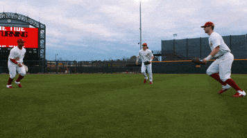 Baseball Outfield GIF by Alabama Crimson Tide