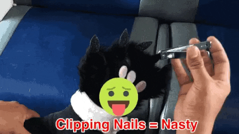 Clip nail GIFs , Get the best GIF on GIPHY