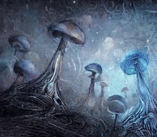 Trippy GIF
