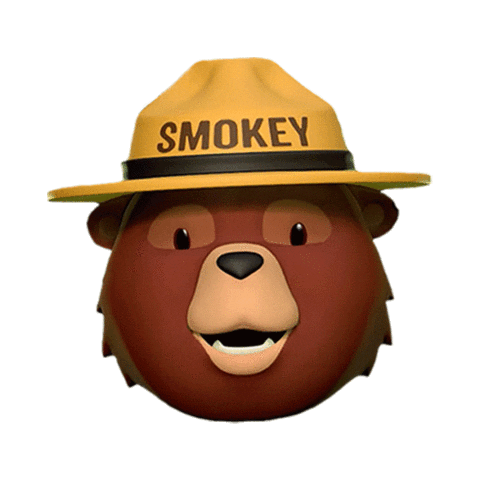Only You Fire Sticker by Smokey Bear
