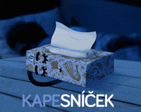 200w.gif