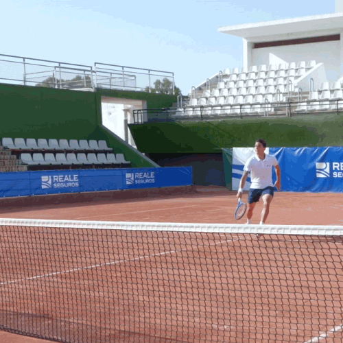 REALE SEGUROS GIF