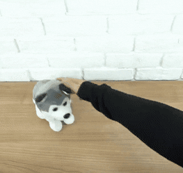 Animated GIF