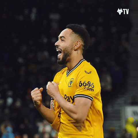 Premier League Smiling GIF by Wolves
