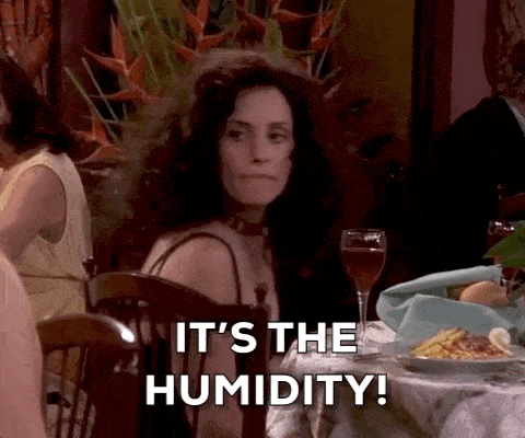 humidity meme gif
