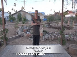 Bo Staff GIF
