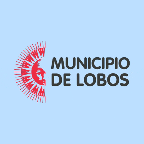 Municipio de Lobos GIF