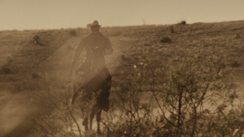Wild West Horse GIF by Midland