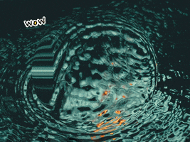 200.gif?cid=fc005b0808cc0148919aa4cf7c3adcb8baa0ff9575121a4c&rid=200.gif&ct=g