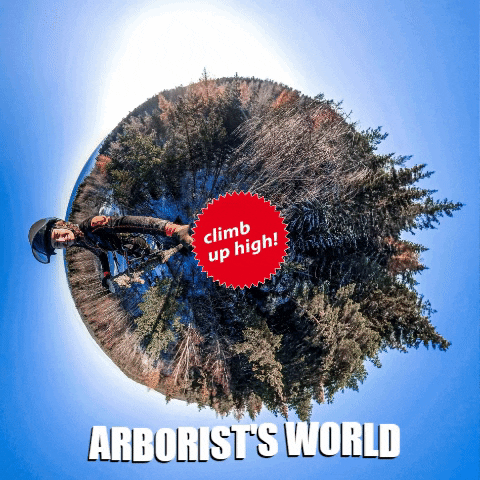 Arboristlife GIF by Freeworker