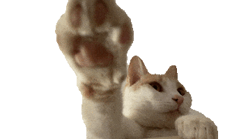 Hey You What Sticker by Encal Medya